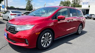 2022 Honda Odyssey EXL Walk Around [upl. by Anelec]