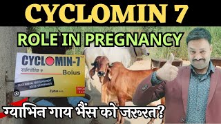 Cyclomin7 bolus uses in Pregnancy [upl. by Ko]