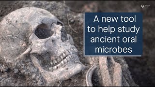 A new tool to help study ancient oral microbes [upl. by Kasper945]