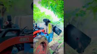 grape agriculturalsystem farminglifeinanotherworld farmingmethod [upl. by Annocahs]