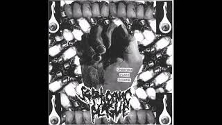 Septicemic Plague  Creeping Flesh Horror EP 2018 Full Album Goregrind [upl. by Bret]