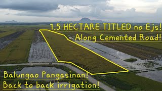 vlog 614 Back to back Irrigated Riceland in Balungao Pangasinan 15 hectare along cemented road [upl. by Derick]