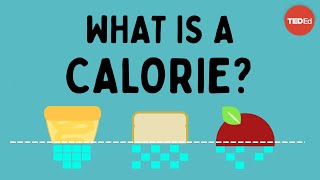 What is a calorie  Emma Bryce [upl. by Noiztneb]