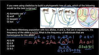 What is the Clade and Outgroup [upl. by Casilda]