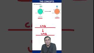 Deamination Of Cytosine  molecularbiology csirnet lifescience [upl. by Jacques674]