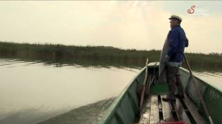 Fischen im Neusiedlersee [upl. by Tosch905]