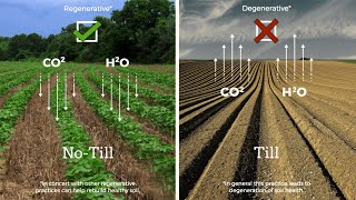 Regenerative Agriculture  Regenerative Farming [upl. by Einafit]