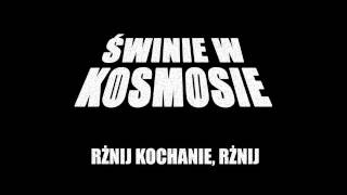 Świnie w Kosmosie  Rżnij kochanie rżnij 12 [upl. by Rabbaj915]