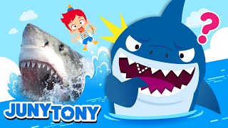 ¡Tiburones en Acción  Datos Curiosos sobre Tiburones  Canciones Infantiles  JunyTony en español [upl. by Eiduj]