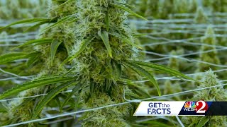 Fact checking a Vote No On 3” ad against recreational marijuana in Florida [upl. by Icaj564]