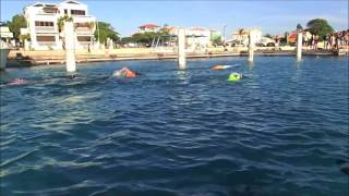 Freediving Record Carlos Coste Guinness attempt 177m Bonaire [upl. by Knepper201]