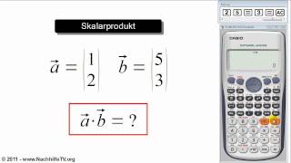 Skalarprodukt berechnen mit Taschenrechner [upl. by Ojeitak]