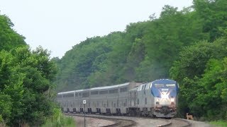 Amtrak Train Hits Deer [upl. by Aimaj]