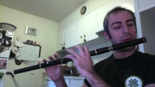 The Monaghan Jig  Irish Flute  slowfast [upl. by Adnowal]