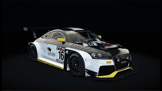 Audi TT Series Sepang  RACE  ROUND 56 [upl. by Sallad610]