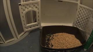 Natural Wood Pellets Perfect In Cat Toilet [upl. by Sherlocke445]