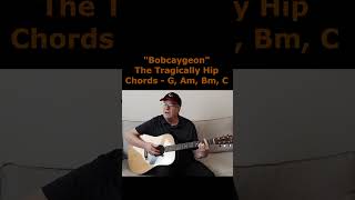 Bobcaygeon  The Tragically Hip [upl. by Janeva]