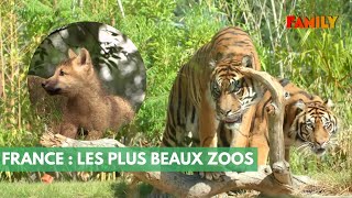 Dans les coulisses des plus beaux zoos de France [upl. by Kadner]