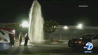 5 fire hydrants stolen by thieves in Norwalk area leaving gushers in their wake [upl. by Marcille708]