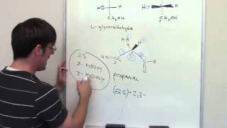 MCAT Answers 3 [upl. by Eenalem]