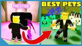 Starting Over with the Best Pets in Roblox Slaying Simulator [upl. by Learsi]