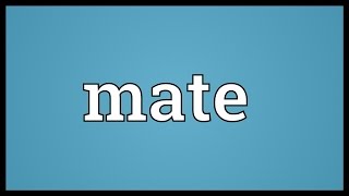 Mate Meaning [upl. by Leonor263]