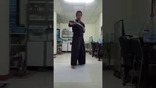 Dai Nippon Battō Hō 大日本抜刀法 9 kata uncut Iaido at home [upl. by Esinet]