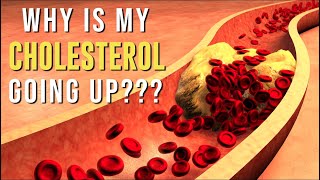 WHY CHOLESTEROL CAN GO UP ON THE KETO DIET [upl. by Baecher36]