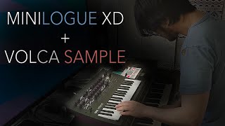 Minilogue XD amp Volca Sample Combo Test 1 [upl. by Schnell]