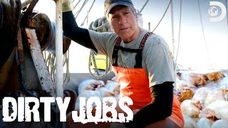 Mike Rowe Is Up to His Knees in Jellyfish  Dirty Jobs [upl. by Nilak]