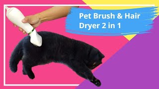 Pet Grooming Hair Dryer and Slicker Brush Combination for Cats and Dogs Replaceable Brush Head [upl. by Adnwahsal]