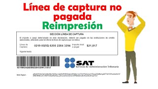 Reimpresión de Linea de Captura Vencida  SAT 2024 [upl. by Teddie]