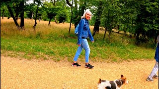 Epping Forest Trail Walk From London Chingford To Loughton 4K [upl. by Hammock179]