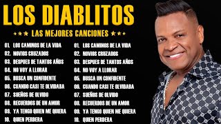 Los Diablitos  Colección de las Mejores Canciones  Concierto Vallenato Clásico [upl. by Amersham698]