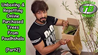 Unboxing amp Repotting online purchased trees from Paudhshalacom  Part 2 [upl. by Fabozzi943]