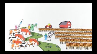 The Environmental Impact of Livestock  RUVIVAL Toolbox [upl. by Gothar]