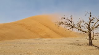 Namibia [upl. by Lenard603]