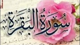 surh baqrah with translation in beautiful voice ayat No 101 to105 [upl. by Sutsuj520]