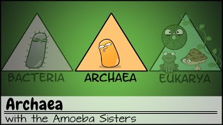 Archaea [upl. by Kcirrem35]