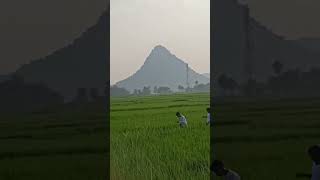 kulahiya majar ka aacha view plz like subscribe [upl. by Elmaleh]