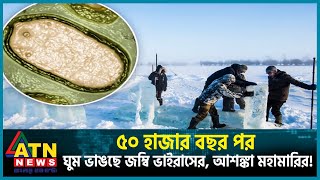 ৫০ হাজার বছর পর ঘুম ভাঙছে জম্বি ভাইরাসের আশঙ্কা মহামারির  Zombie Virus  Zombie Disease  ATN News [upl. by Aviva]