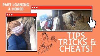 Part Loaning A Horse Tips amp Tricks  Everything you need to know  UK Equestrian Vlogger [upl. by Tuneberg83]