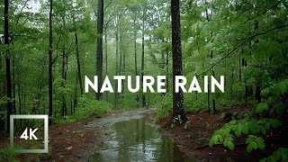 Relaxing Rainfall and Thunder Walking in the Rain ASMR Nature Sounds for Sleep and Study [upl. by Danby]