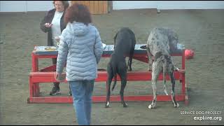 Arena Poppins brekkies TracyM n DonnaC 12132023 exploreorg [upl. by Ecela587]