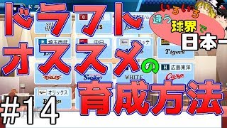 【ゆっくり実況】メンバーがいろいろ違う球界で日本一14【パワプロ2016】 [upl. by Gentilis492]