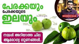 2080 പേരക്കയും പേരക്കയുടെ ഇലയുടെയും അതിശയിപ്പിക്കുന്ന ഗുണങ്ങൾ  Benefits of Guava amp Guava leaves [upl. by Massab]