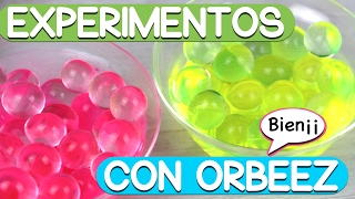 NUEVOS EXPERIMENTOS CON ORBEEZ FOSFORESCENTES METALIZADOS con esmalte [upl. by Ahsekyt]