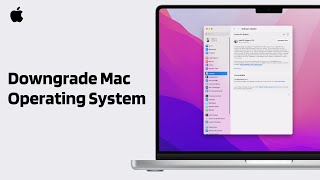 How to Downgrade MacOS Version  2024 Full Guide [upl. by Isac]