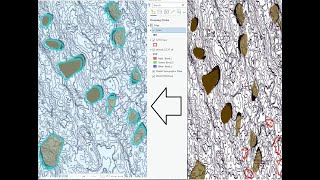 Transform and shift the the coordinates of vector layer in ArcGIS Pro with a single tool [upl. by Reffinnej]