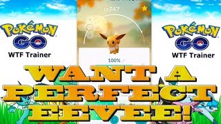 BEST PLACE TO CATCH PERFECT IV EEVEE IN POKEMON GO  100 IV EVOLUTIONS [upl. by Gentilis160]